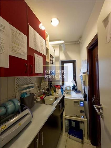 Cotroceni | Pretabila Clinica - Spa | Vila eleganta  | Terasa - 22