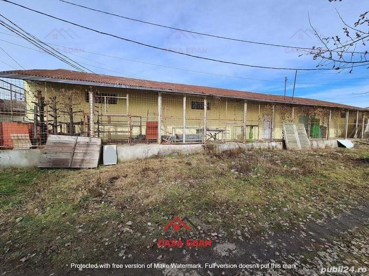 Hala in Campina--280 mp--800e - 3