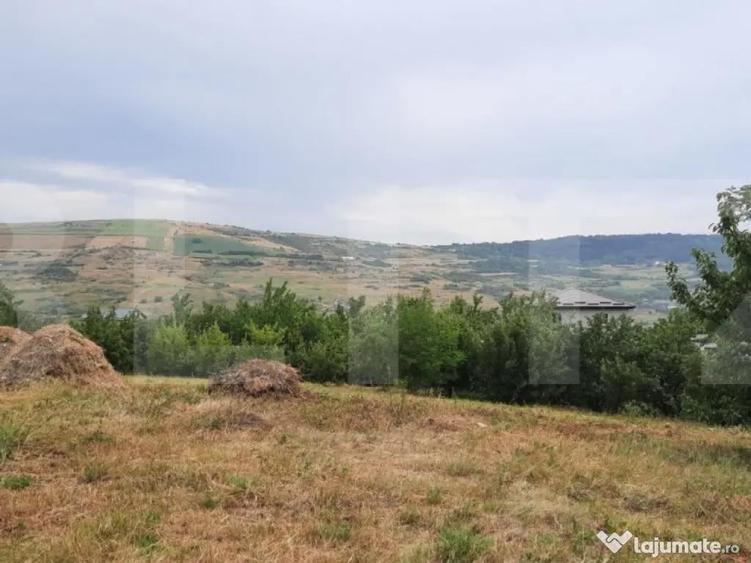 Teren intravilan construibil 2000 mp, Valea Chintaului, curt - 1