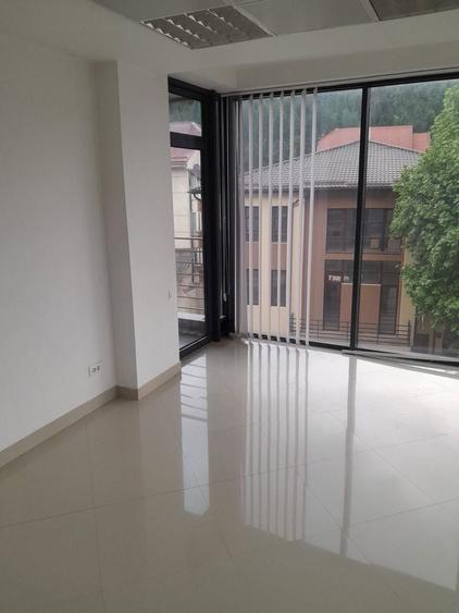 Spatiu comercial de inchiriat - 1