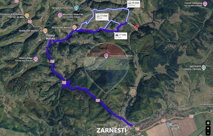 Teren agricol extravilan de 3906 mp, în Poiana Mărului