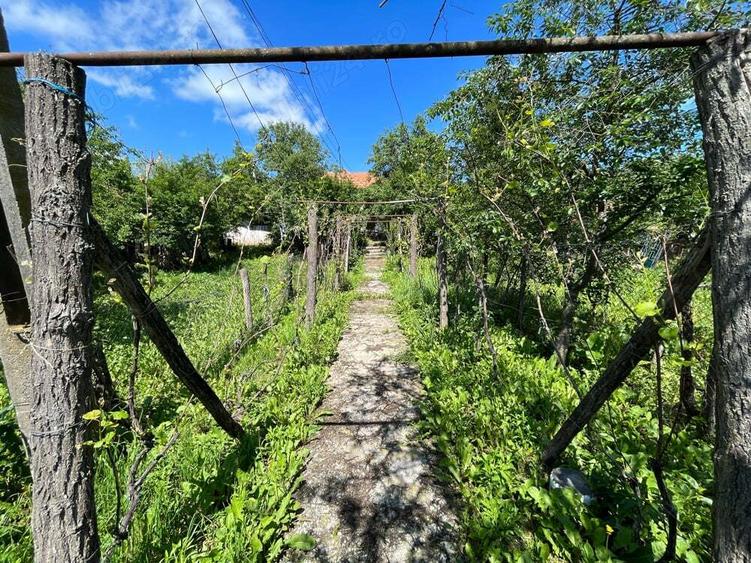 Casa la Ciovarnasani 3600mp - 8