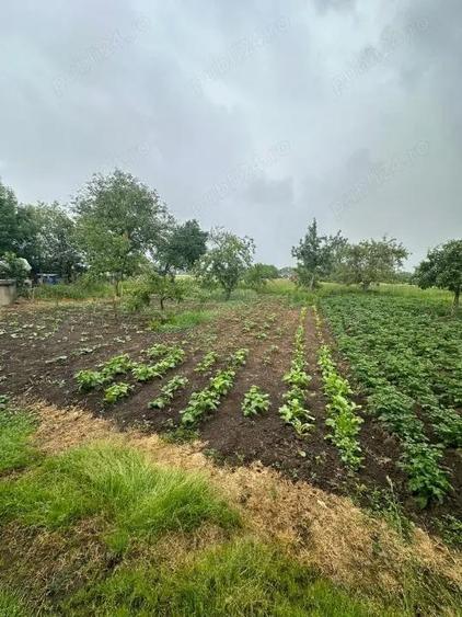 Vand casa+sura+anexa teren 54 ari - 5