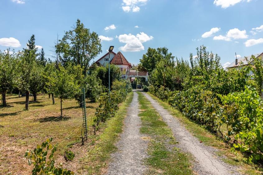 Casa+Laborator+ Teren 12.700 mp + casa de vacanta - Bolintin Vale - 46