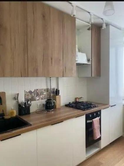 De inchiriat apartament 1 camera in zona Elisabetin - 1