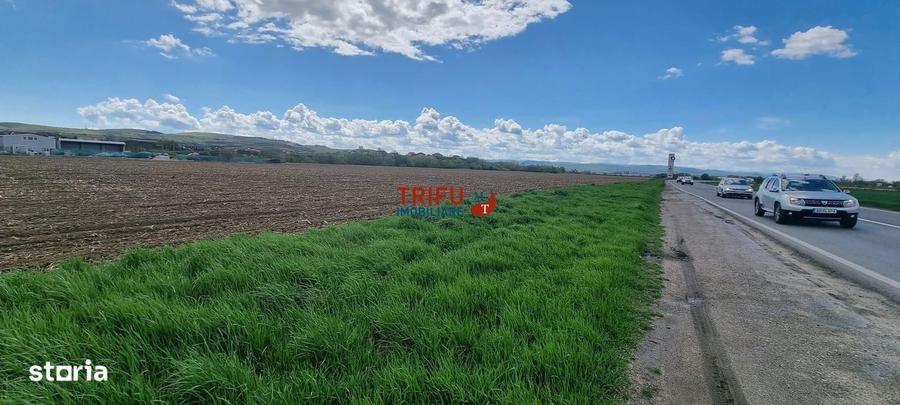 Teren intravilan industrial cu PUZ aprobat - 2