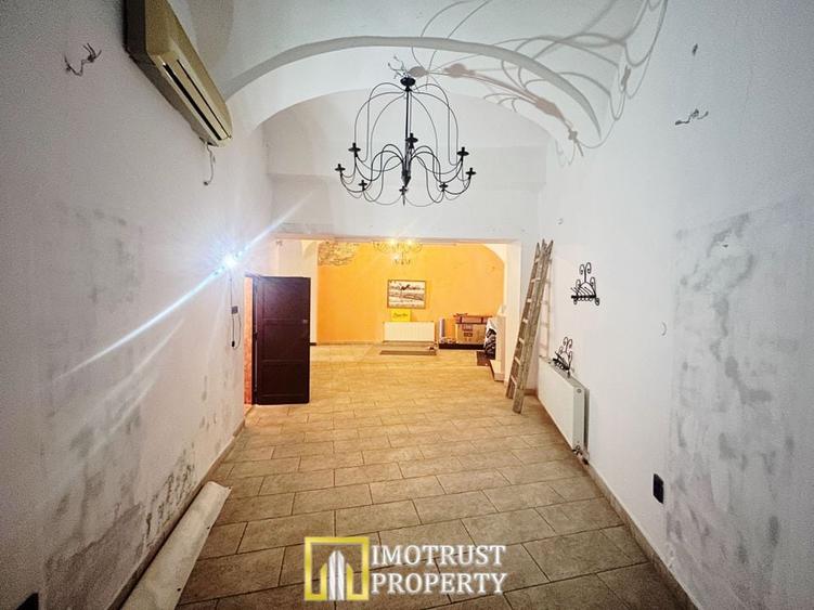 Spatiu comercial de vanzare zona Bou Rosu - 9