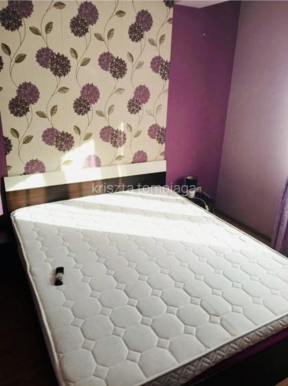 Apartament  43 mp utili plus balcon ,parter inalt , strada Stejarului