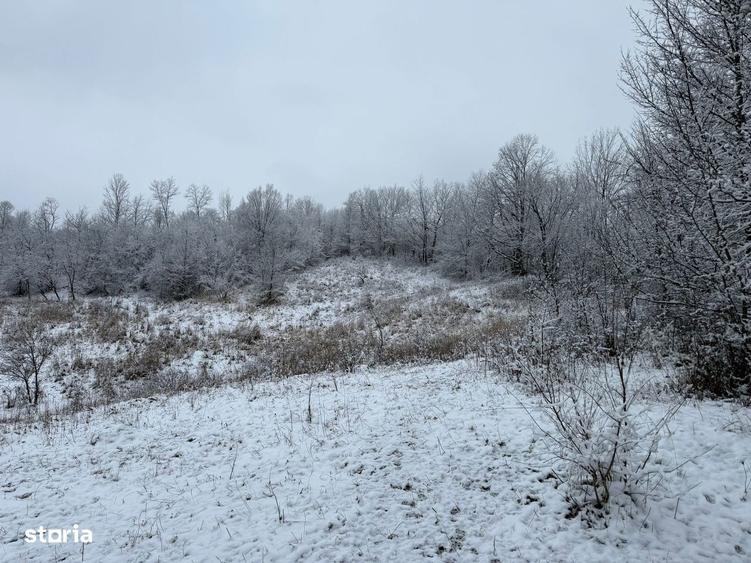 Provi?a de Jos - teren 3824mp - 18 Euro/mp Neg. - 2