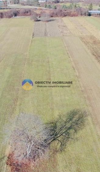 TEREN intravilan  4488 mp - PANGĂRAȚI - 1