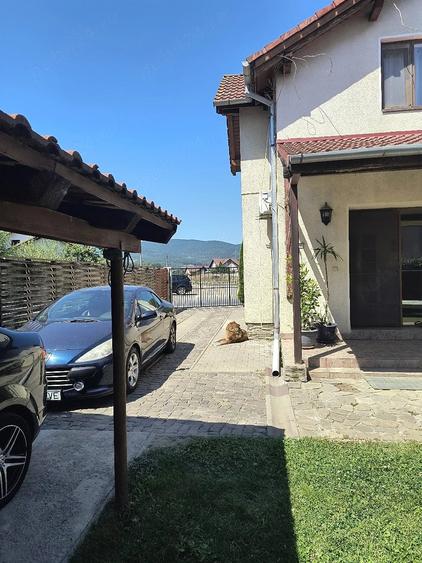 Casă cu Teren 400 Mp în Ampoi 3