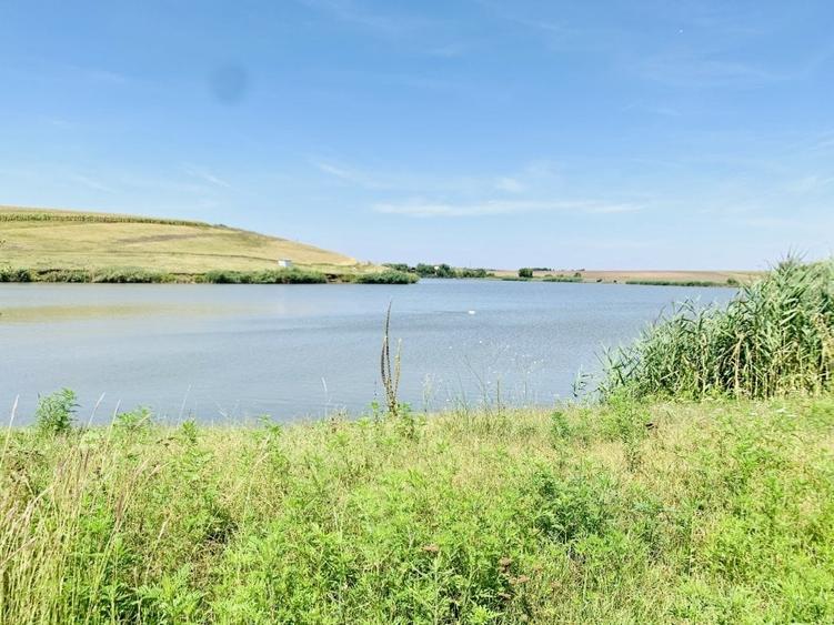 Proprietar - SUPER OFERTA - Teren intravilan  Peris - 7.043 mp - doar 4 euro/mp - 2