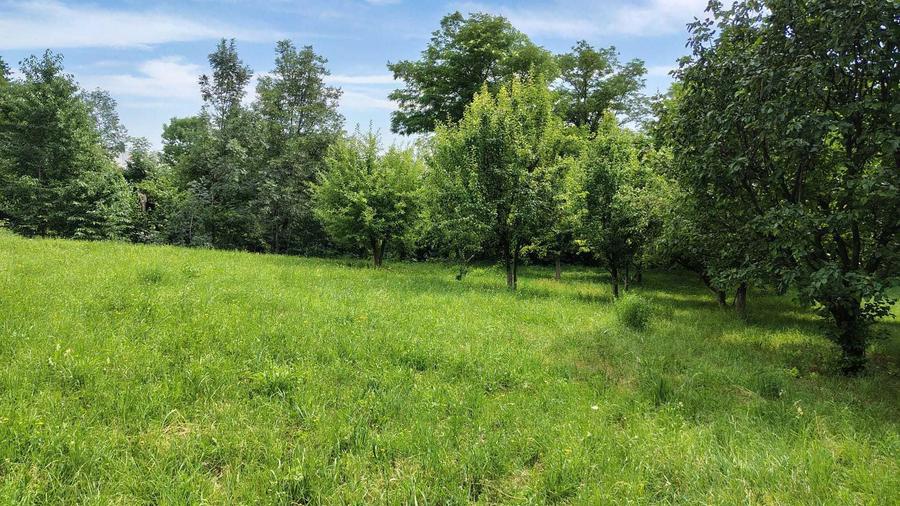 Vanzare 3159 mp TEREN INTRAVILAN Vatra Sat, oras Comarnic 40Euro/mp - 6