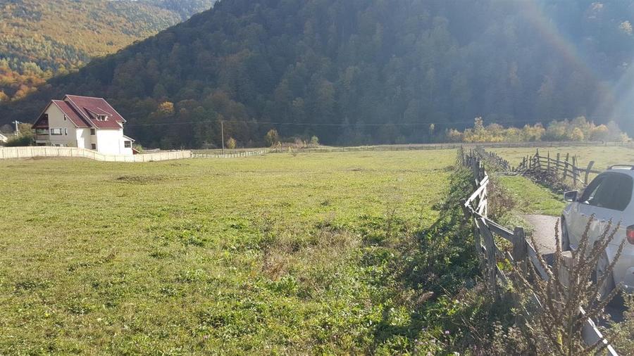 Teren extravilan Lepsa zona Casa Albert - 3