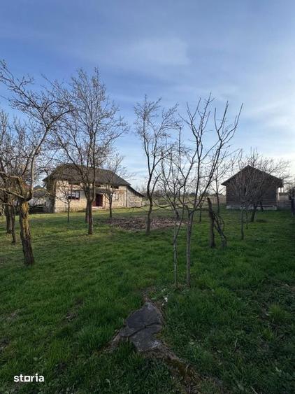 Casa Asuaju de Sus, 47 ari teren, investitie, necesita renovare - 5