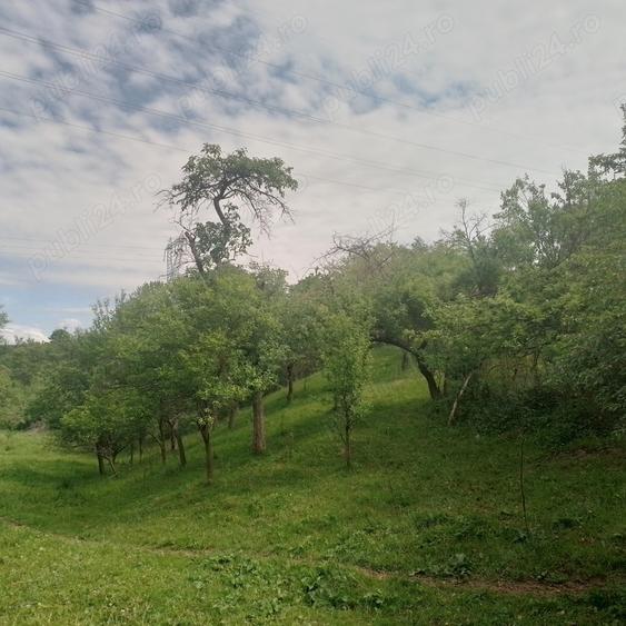 Vand casa ?i teren la poale de munte - 8