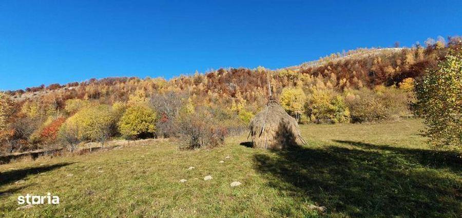 Vand teren intravilan la Muntele Rece - 4