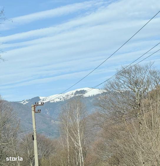 PROPRIETATE LA MUNTE | 2 CASE RENOVATE | MALAIA JUD. VALCEA - 10