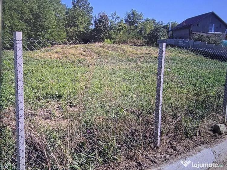 TEREN INTRAVILAN//COM. PLOPU//1300//2700 MP - 7