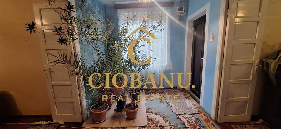 Casa de vanzare zona Campia Islaz - 17