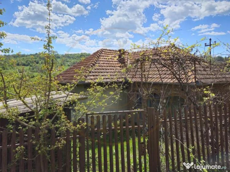 Teren 1200 mp + Casa - Comuna Arefu - 3