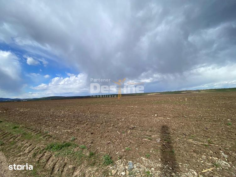 Teren de vanzare Dumbrava Rosie 20.000 Euro 900mp - 6