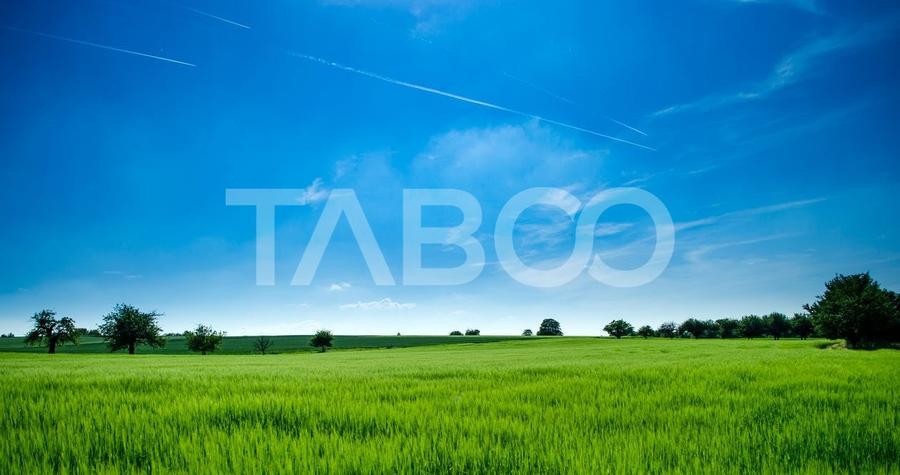 Teren de vanzare 9369 mp langa viitoarea centura Sud a Sibiului - 1