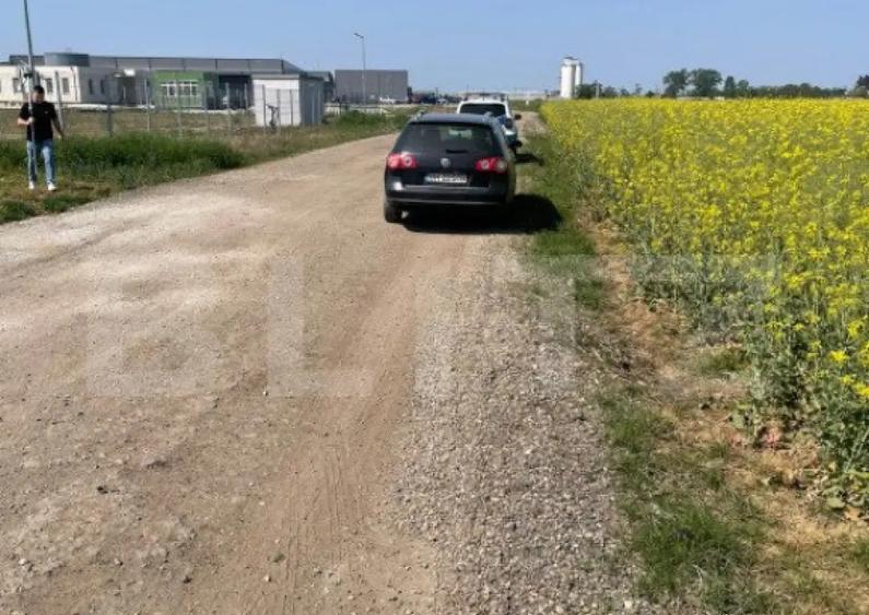 Teren intravilan de vanzare, 20.000 mp, zona-Santandrei\Pal - 7