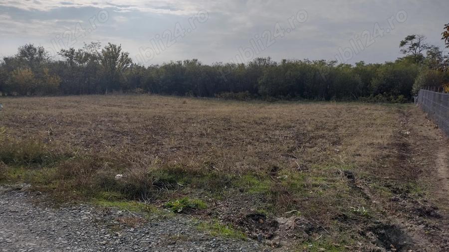 Vand casa cu teren 2000 m2 - 6