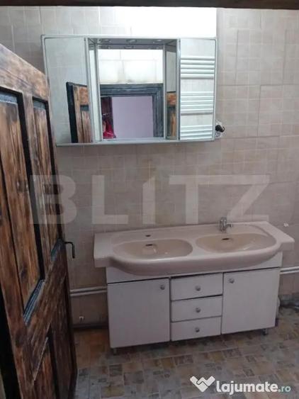 Casa individuala, 65mp utili, zona Sebes-Rahau - 1