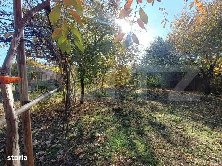 OPORTUNITATE TEREN 0,9 Ha intravilan constructii+extravilan - 7