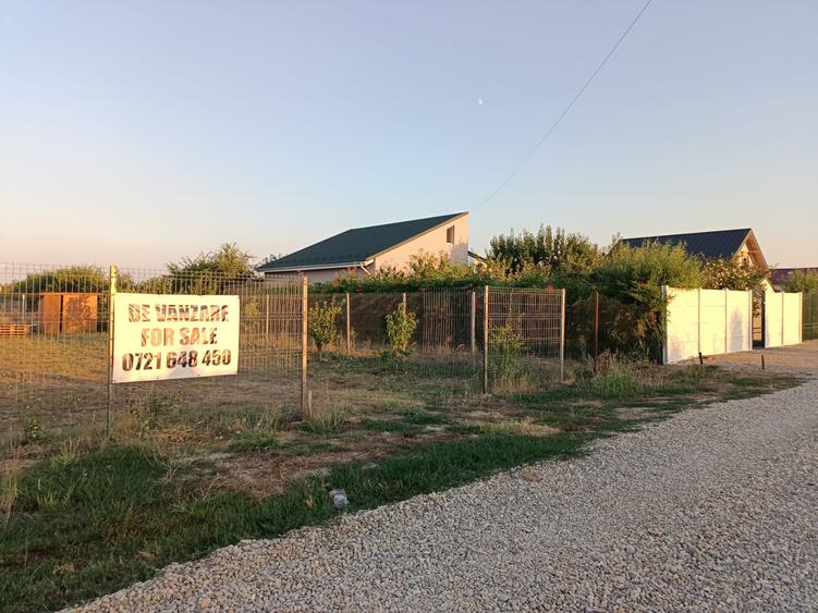 Terenuri intravilane Magurele Dumitrana - 4