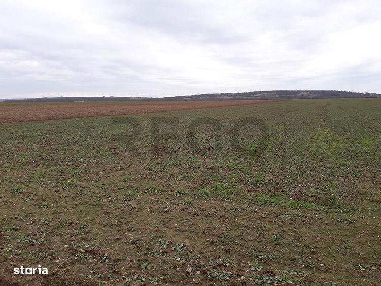 RECO Teren in Santandrei 29 100mp - 4