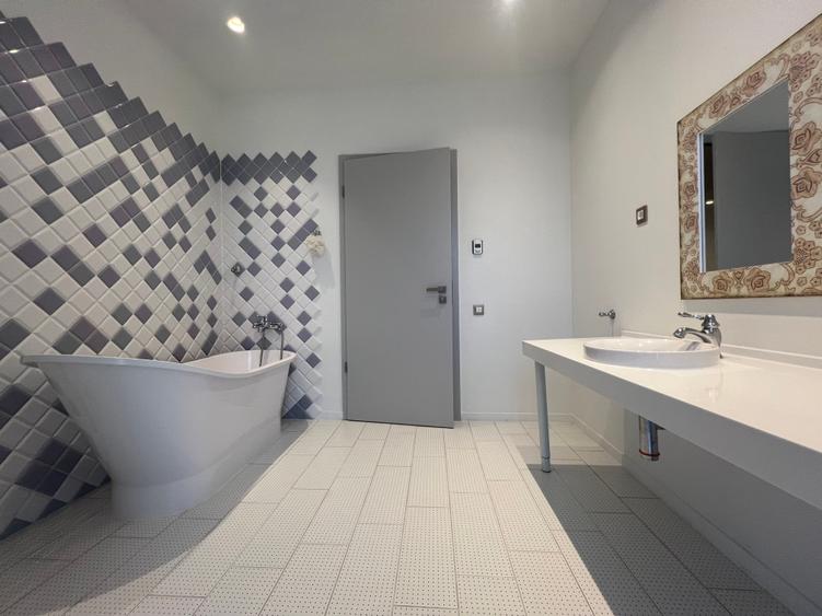 Inchiriere Vila Ultramoderna Iancu Nicolae / Modern Villa for Rent Iancu Nicolae - 25