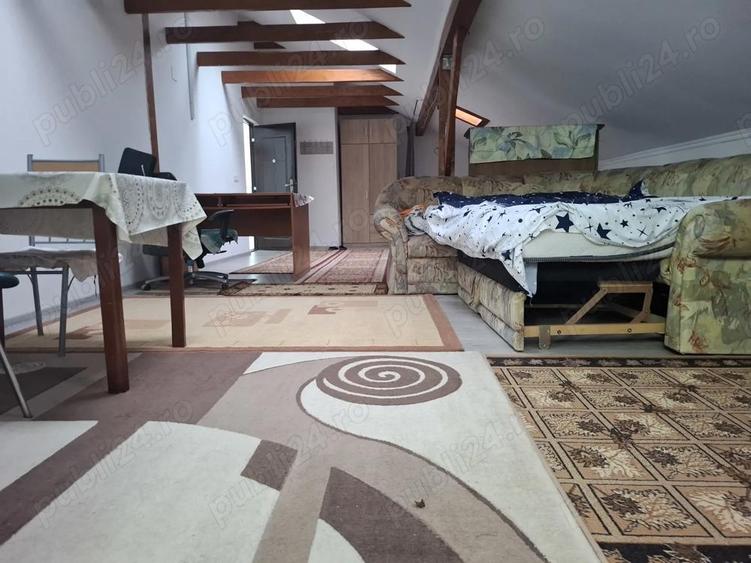 Ap decent si spatios 1 cam etaj 1 zona Alfa - 4