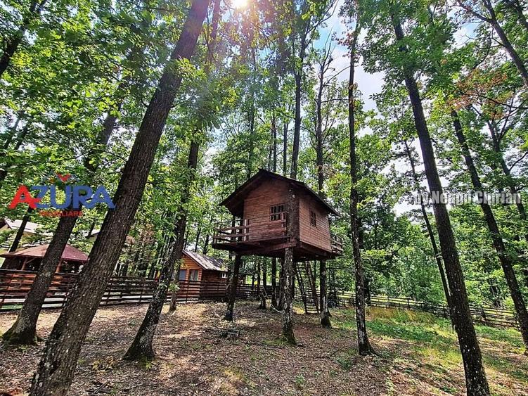 Casă de vacanță în pădure, 10 km de Pitești - Babana - 16