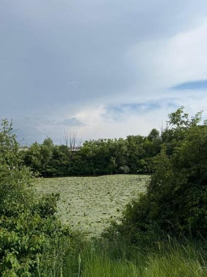 Teren intravilan de 1000 mp, în Central