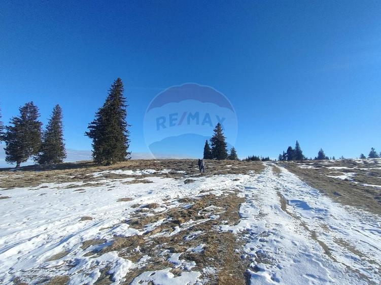 Teren agricol extravilan de 5609 mp, în Gura Râului