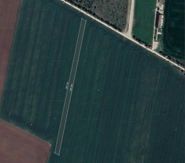 Teren agricol intravilan de 10000 mp, în Tâncăbești