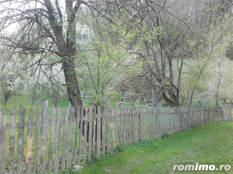 Teren de 3400 mp, în Trăisteni