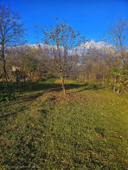 Exclusivitate! Casă cu teren generos în Sat Olteni, Com.Teișani - 12