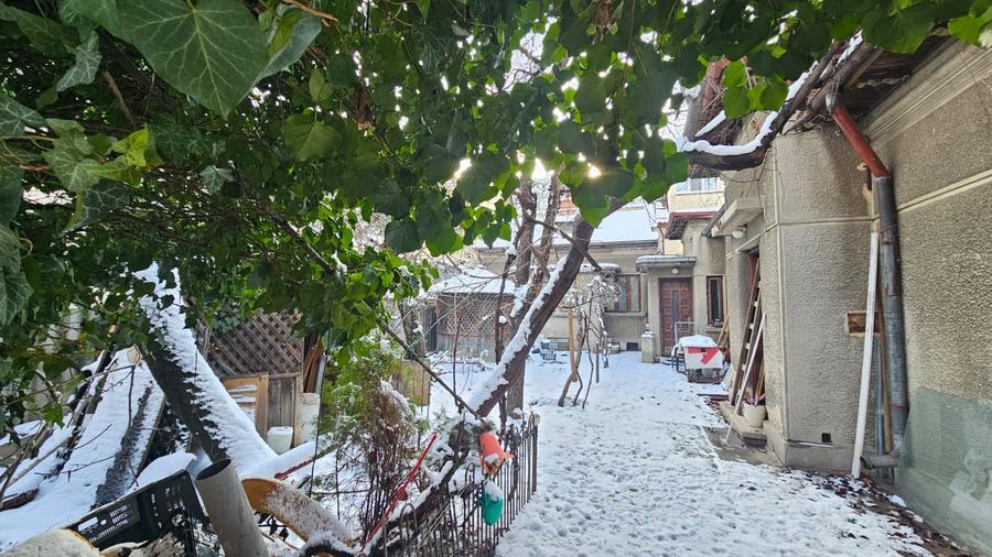 Teren patrat, strada linistita langa Ciuperca Domenii - 10