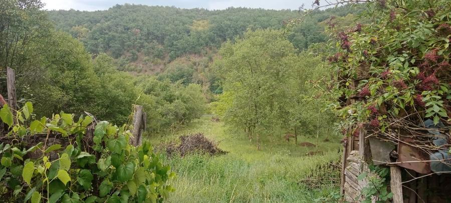 Vand casa cu gradina - 5
