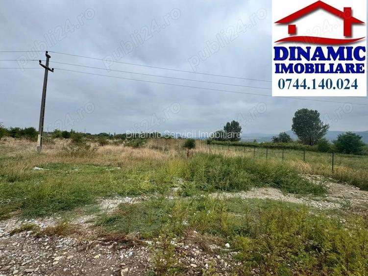 Teren 3600 mp intravilan, Piatra-Neamt, 25 Eur MP
