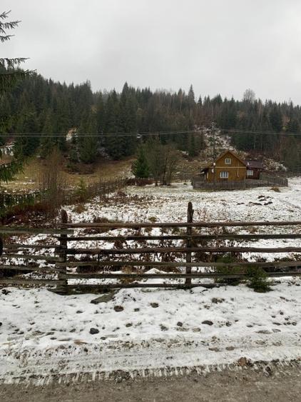 TEREN DORNA ARII - 2