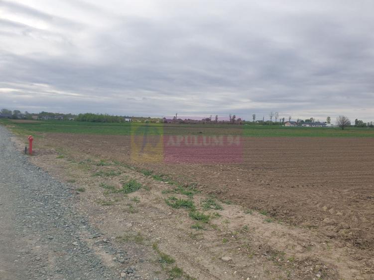 Teren ideal dezvoltare imobiliară în Măgurele strada Atmosferei - 4