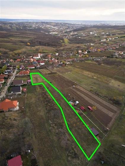 RECO . Teren intravilan Saldabagiu de munte . - 8