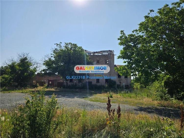 Vanzare Moara cu spatii Industriale situate in comuna Daia jud Giurgiu - 33