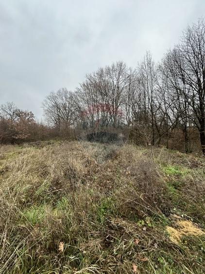 Teren 1,200mp si 400m2 cota drum Satu Nou de Jos / Strada Principala - 5