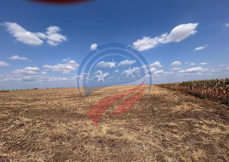 Teren intravilan de vanzare in Pielesti - 9